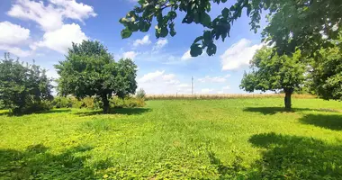 Plot of land in Dziamidavicki sielski Saviet, Belarus