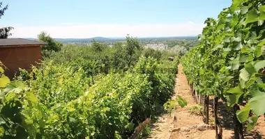 Plot of land in Hungary