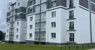 Appartement 1 chambre dans Smaliavitchy, Bélarus