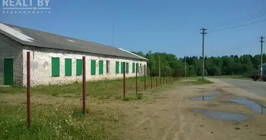 Commercial property 305 m² in Juzufova, Belarus