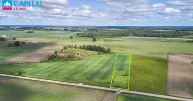 Grundstück in Sasnava, Litauen