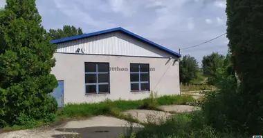 Commercial property 1 323 m² in Tatabanyai jaras, Hungary