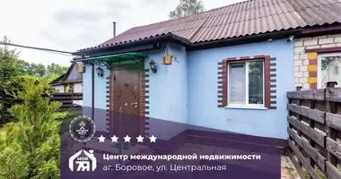 House in Baravoje, Belarus
