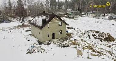 House in Biarezinski sielski Saviet, Belarus