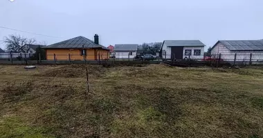 House in Rybna, Belarus