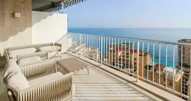 3 bedroom apartment in Monaco