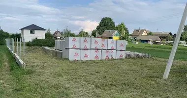 Haus in Fanipalski sielski Saviet, Weißrussland
