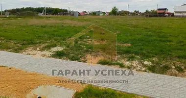 Plot of land in Turna Vialikaja, Belarus