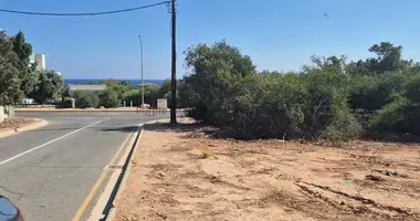 Terrain dans Agía Nápa, Chypre