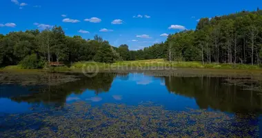 Дом в Тресковщина, Беларусь