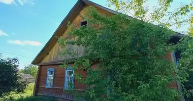 Dom w Mohylew, Białoruś