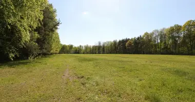 Plot of land in Wola Prazmowska, Poland