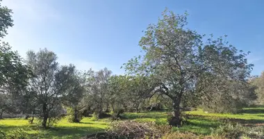 Działka w Sao Bras de Alportel, Portugalia