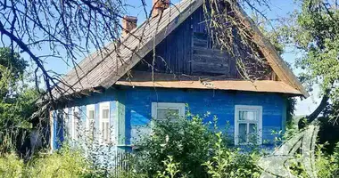 House in Vialikaje Sialo, Belarus