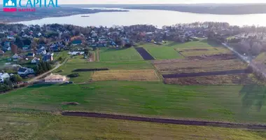 Grundstück in Rumsiskes, Litauen