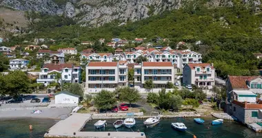 Apartamento 1 habitacion en Risan, Montenegro