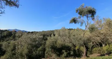 Terrain dans Temploni, Grèce