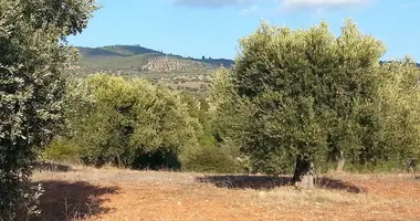 Grundstück in Nikiti, Griechenland