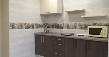 2 room apartment in Baranavichy, Belarus