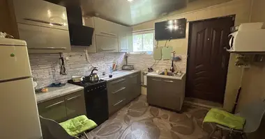 Дом в Борисов, Беларусь