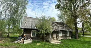 House in Videniskiai, Lithuania