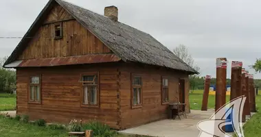 House in Rasna, Belarus