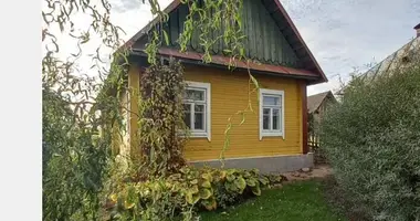 House in Schorsovskiy selskiy Sovet, Belarus