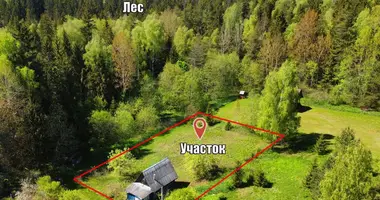Участок земли в Беларучский сельский Совет, Беларусь