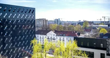 Квартира 1 комната в Вильнюс, Литва
