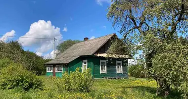 House in Kurhanski sielski Saviet, Belarus