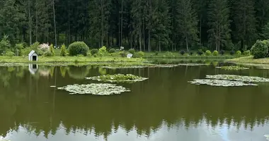 Дом в Петришковский сельский Совет, Беларусь