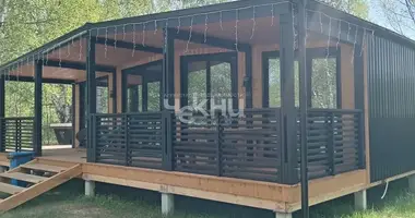 House in Gorodetsky District, Russia