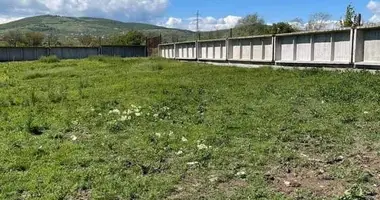 Участок земли в Душети, Грузия