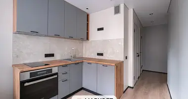 Appartement 1 chambre dans Minsk, Biélorussie