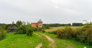 Dom w Radaskovicki sielski Saviet, Białoruś