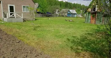 House in Pierasadski sielski Saviet, Belarus