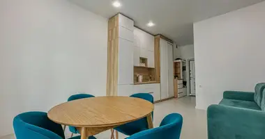 1 room apartment in Minsk, Belarus