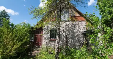 Haus in Pakonys, Litauen
