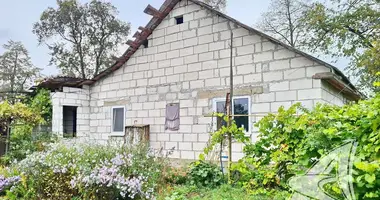 Haus in Rakitnicki siel ski Saviet, Weißrussland