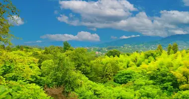 Parcela en Adlia, Georgia