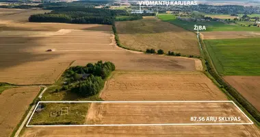 Участок земли в Kiauleikiai, Литва