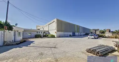 Warehouse 1 926 m² in Elx Elche, Spain