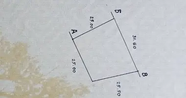 Plot of land in Babovicki sielski Saviet, Belarus