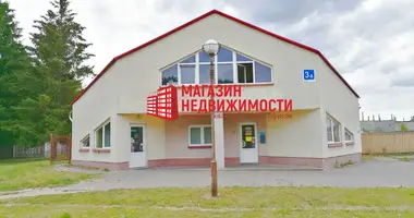 Commercial property 267 m² in Hrodna, Belarus