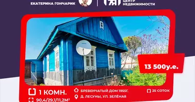 Maison 1 chambre dans Kazlovicki sielski Saviet, Biélorussie