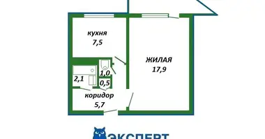 1 room apartment in Minsk, Belarus