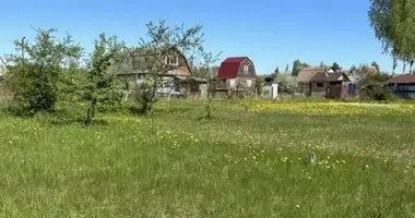 Terrain dans Dziescanski siel ski Saviet, Biélorussie