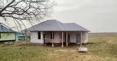 House in Dabryniouski sielski Saviet, Belarus