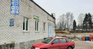 Fabrication 228 m² dans Maladetchna, Biélorussie