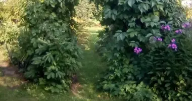 Parcela en Anninskoe gorodskoe poselenie, Rusia